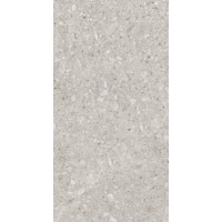 Керамогранит Lasselsberger Иней 6493-0136 60*120 серый